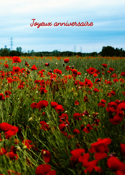 Carte Joyeux  Anniversaire  Et Coquelicots Envoyer une 